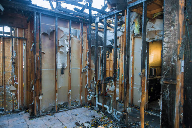 Professional Odor Removal technician working in Stratford, WI