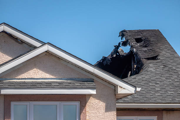 Top rated local Odor Removal specialists in Stratford, WI